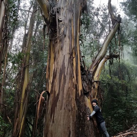 Meet your Posher, Christy - Picture 1 of 1